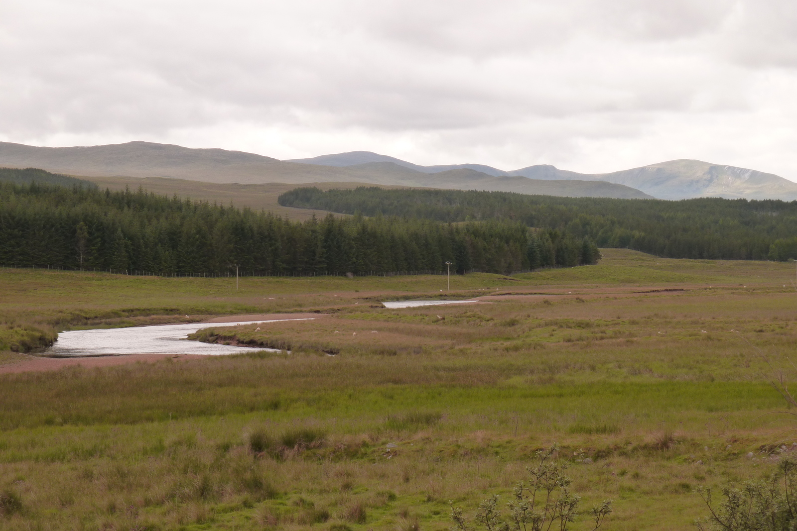 รูปถ่าย อังกฤษ(United Kingdom) เวสเตอร์รอสส์(Wester Ross) 2011-07 107