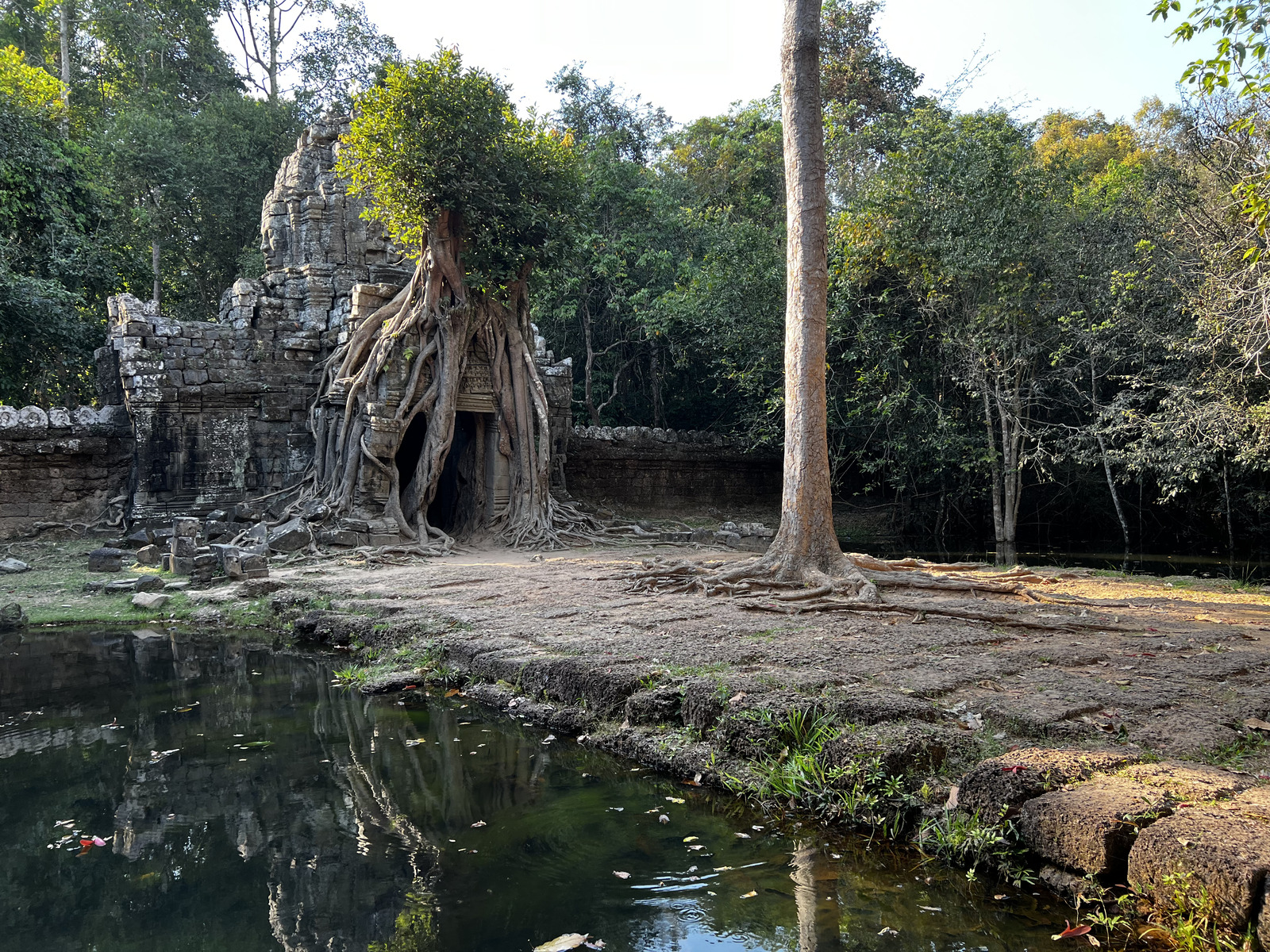รูปถ่าย กัมพูชา(Cambodia) เสียมราฐ(Siem Reap) ปราสาทตาสม(Ta Som) 2023-01 3