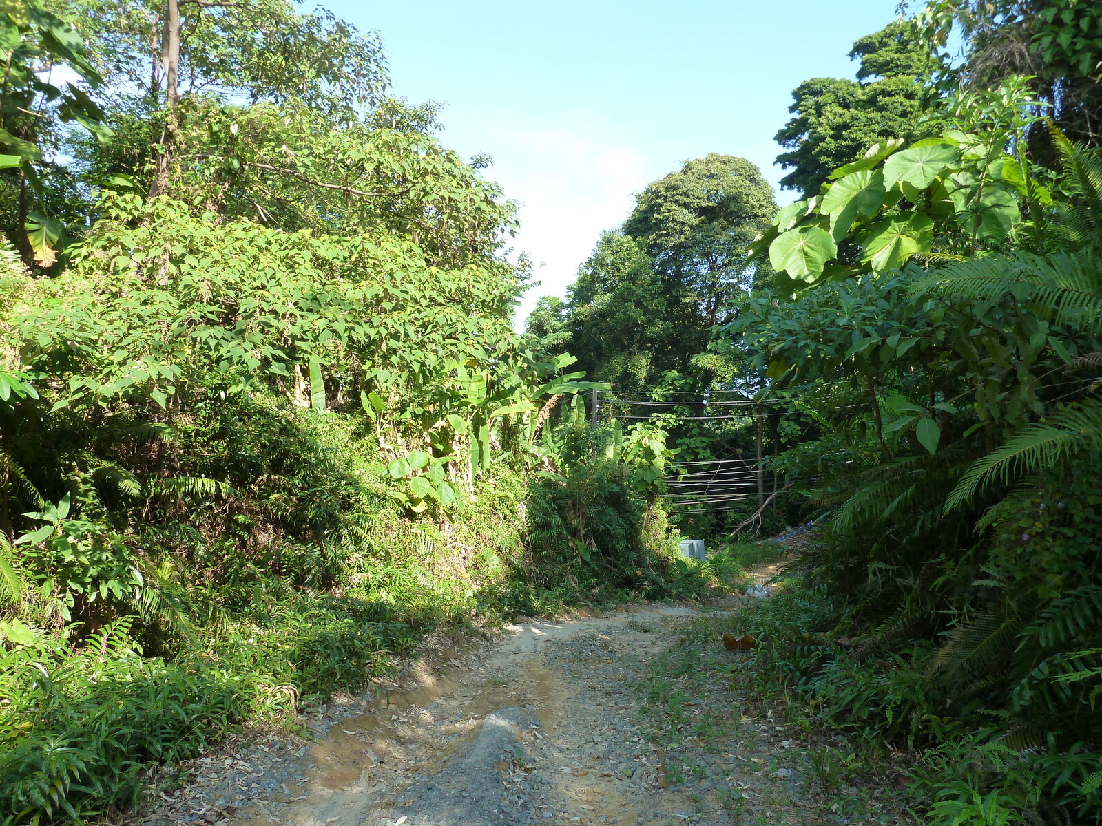 รูปถ่าย ไทย(Thailand) เกาะช้าง(Ko Chang) 2011-12 154