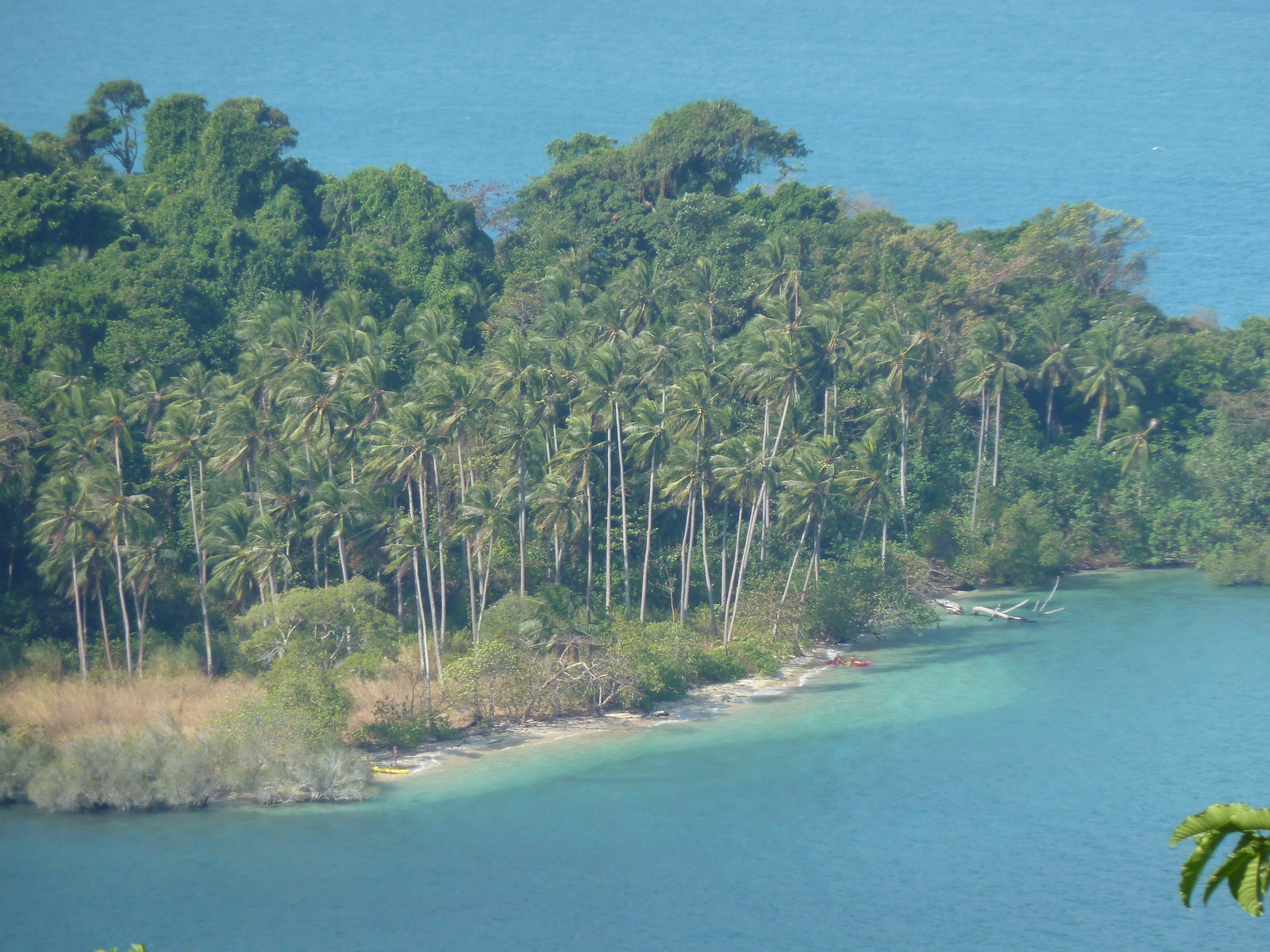 รูปถ่าย ไทย(Thailand) เกาะช้าง(Ko Chang) 2011-12 159