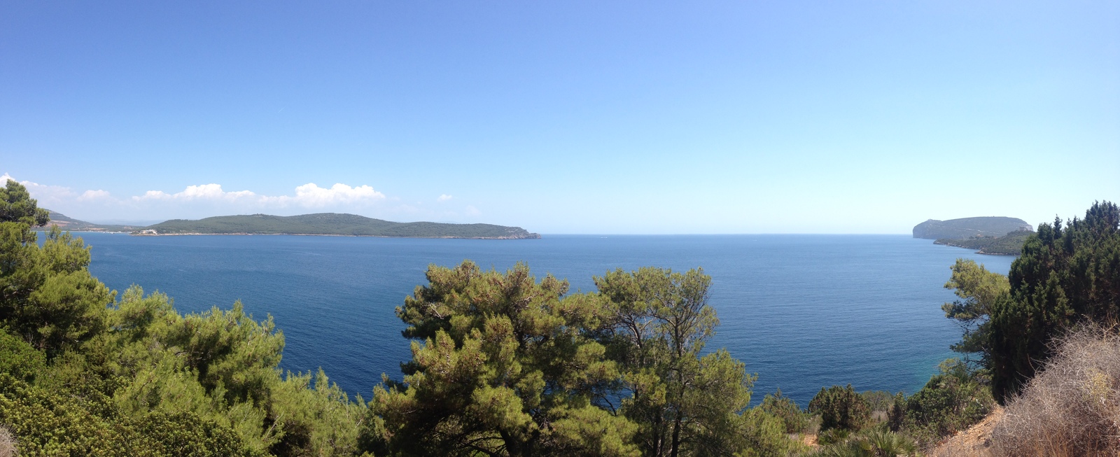 รูปถ่าย อิตาลี(Italy) ซาร์ดิเนีย(Sardinia) อุทยานธรรมชาติปอร์โตกอนเต(Porto Conte Regional Natural Park) 2015-06 22