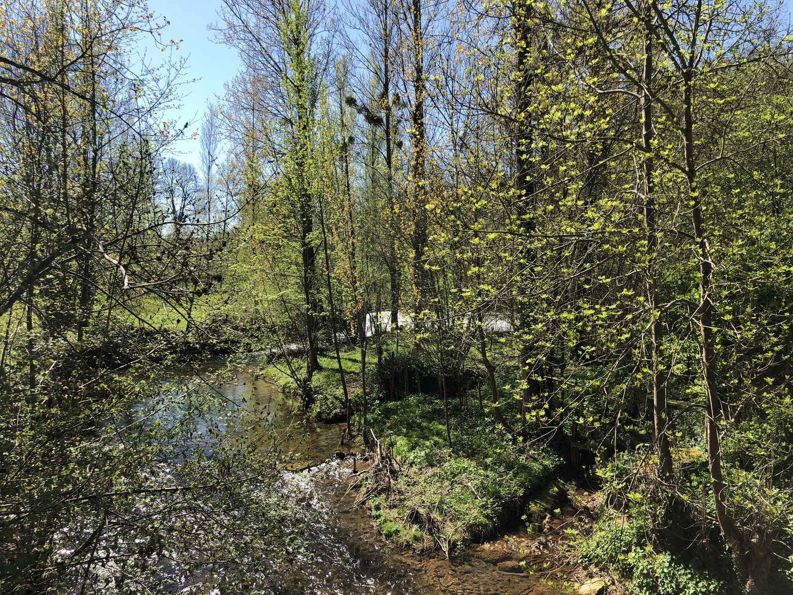 รูปถ่าย ฝรั่งเศส(France) กงก์(Conques) 2018-04 196