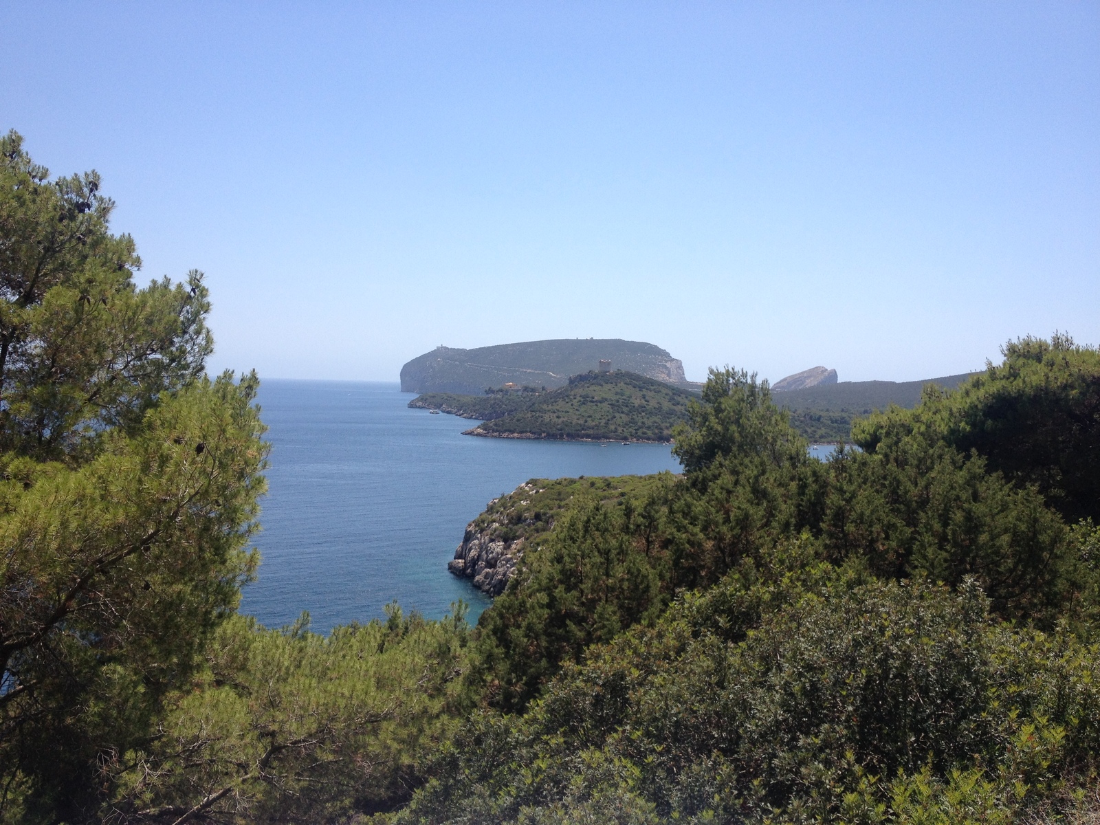 รูปถ่าย อิตาลี(Italy) ซาร์ดิเนีย(Sardinia) อุทยานธรรมชาติปอร์โตกอนเต(Porto Conte Regional Natural Park) 2015-06 26