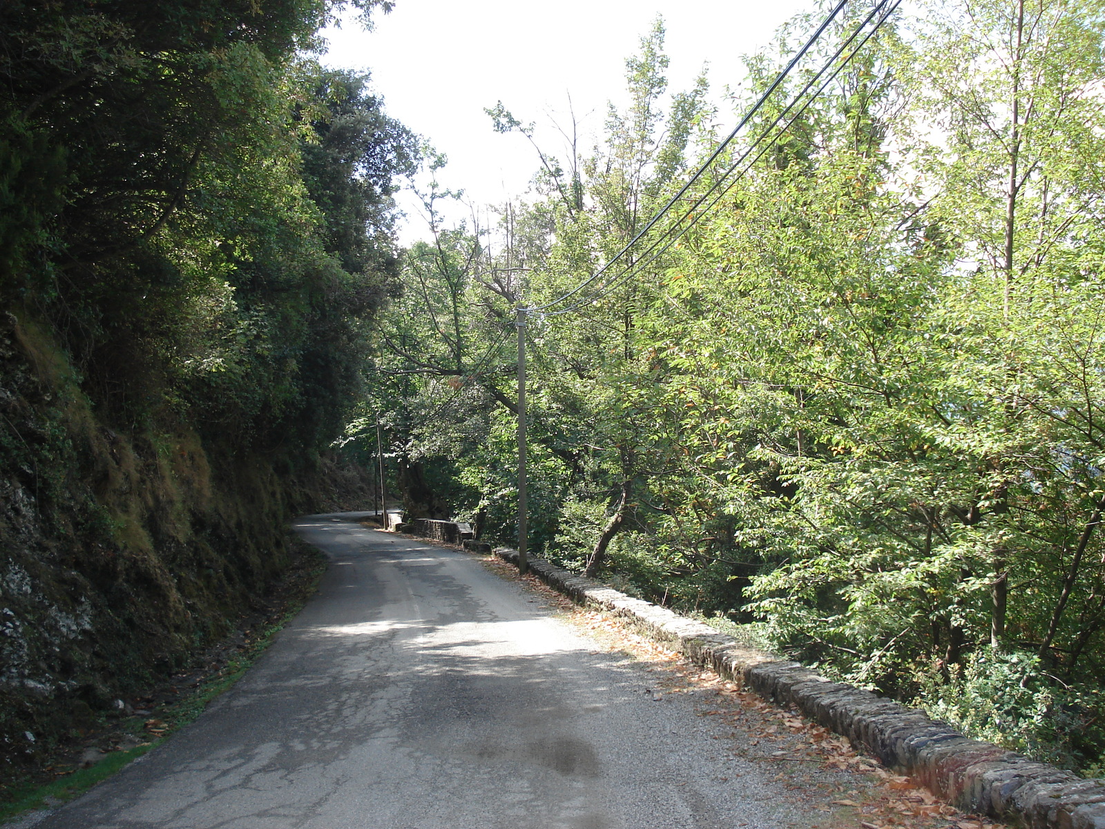 รูปถ่าย ฝรั่งเศส(France) คอร์สิคา(Corsica) วัลเล-ดาเลซานี(Valle d'alesani) 2006-09 81