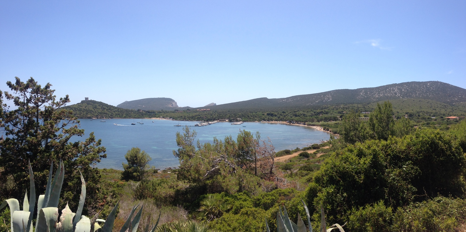 รูปถ่าย อิตาลี(Italy) ซาร์ดิเนีย(Sardinia) อุทยานธรรมชาติปอร์โตกอนเต(Porto Conte Regional Natural Park) 2015-06 25