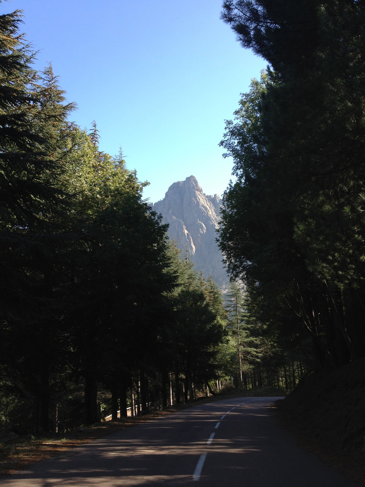 รูปถ่าย ฝรั่งเศส(France) คอร์สิคา(Corsica) บาแวลลา(Bavella) 2012-09 15