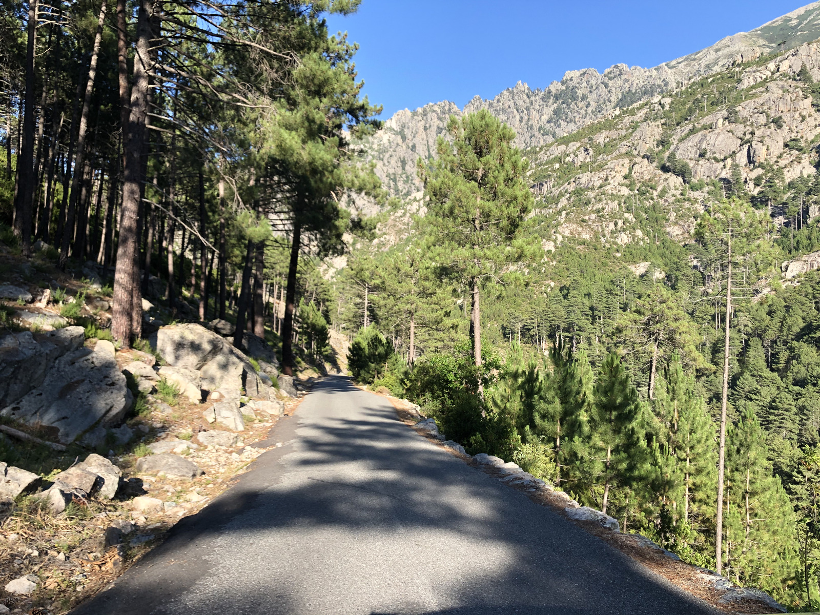 รูปถ่าย ฝรั่งเศส(France) คอร์สิคา(Corsica) หุบเขาลาเรสโตนีกา(La Restonica) 2020-07 33