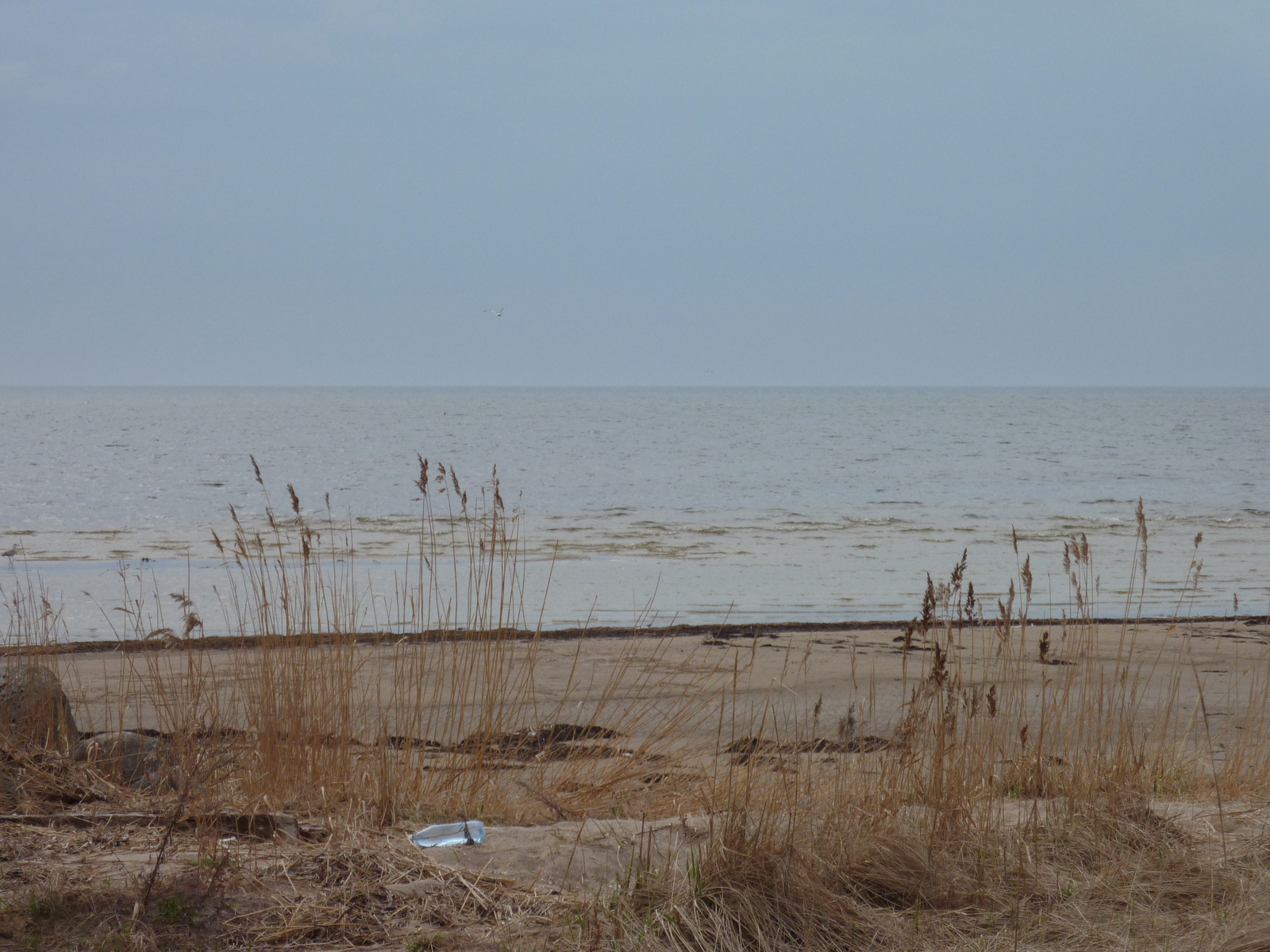 รูปถ่าย ลัตเวีย(Latvia) 2009-04 14