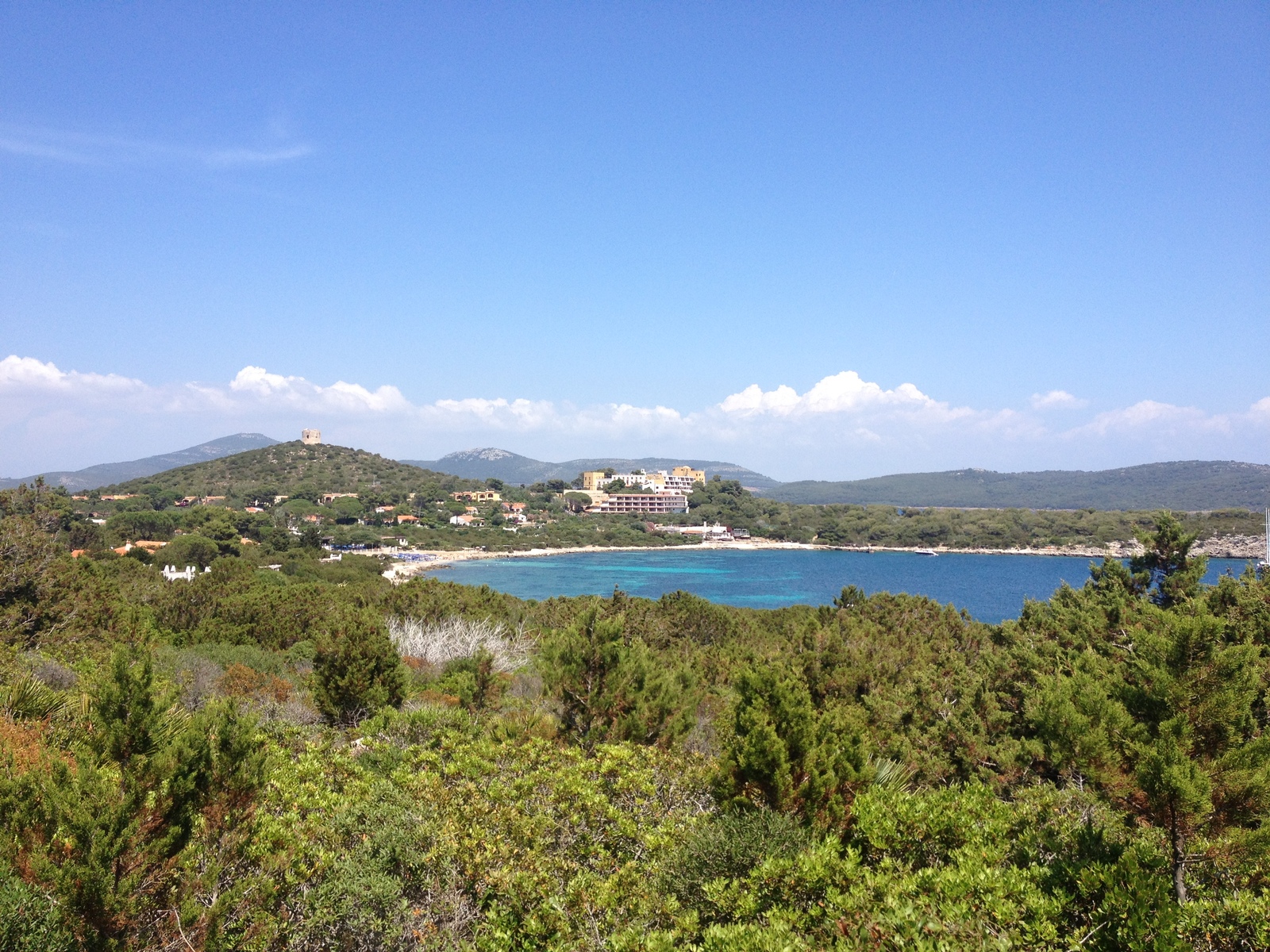 รูปถ่าย อิตาลี(Italy) ซาร์ดิเนีย(Sardinia) อุทยานธรรมชาติปอร์โตกอนเต(Porto Conte Regional Natural Park) 2015-06 32