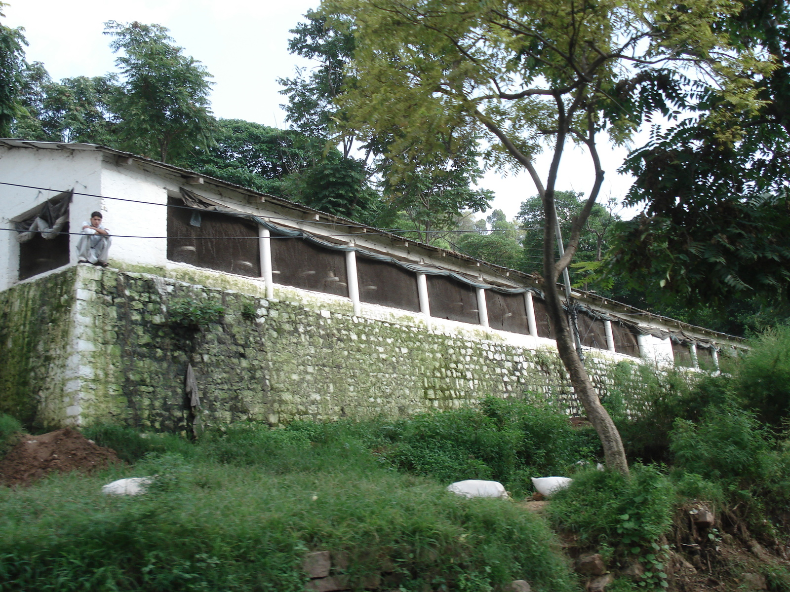 รูปถ่าย ปากีสถาน(Pakistan) ถนนจากอิสลามาบัดไปมัรรี(Islamabad to Murree road) 2006-08 102
