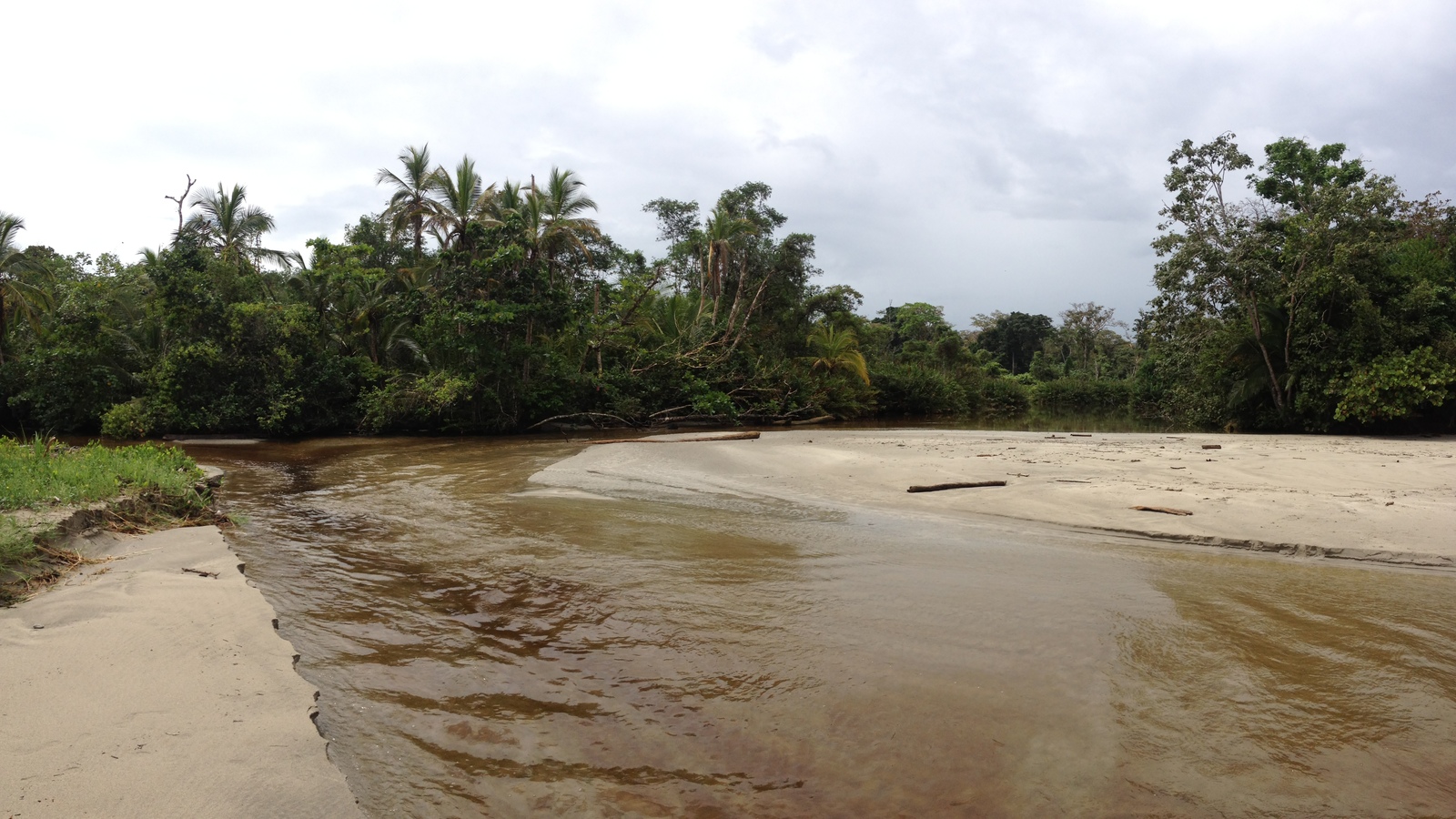 รูปถ่าย คอสตาริกา(Costa Rica) กาอุยตา(Cahuita) 2015-03 136
