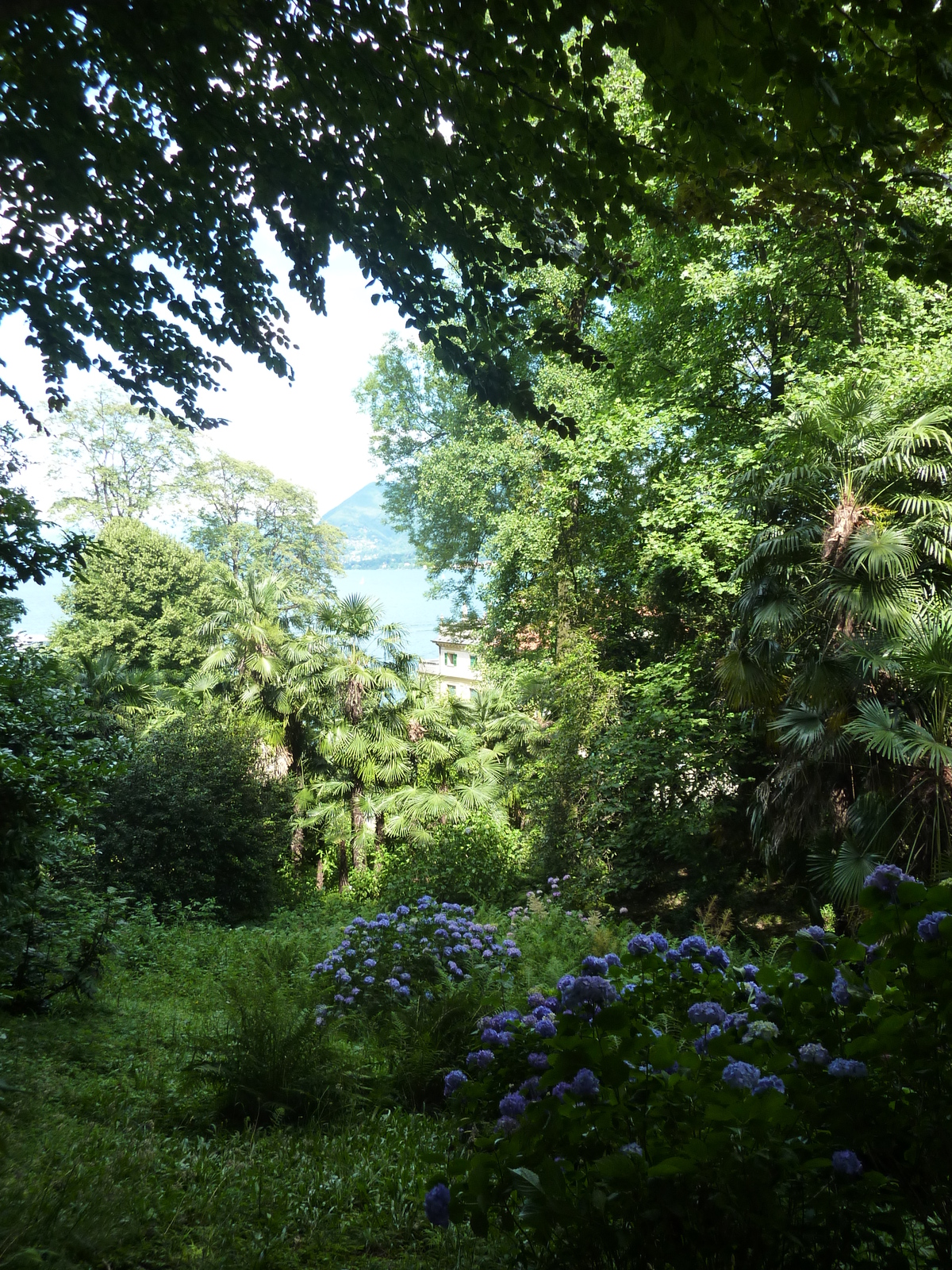 รูปถ่าย อิตาลี(Italy) วิลลาปัลลาวีชีโน(Villa Pallavicino) 2009-06 25