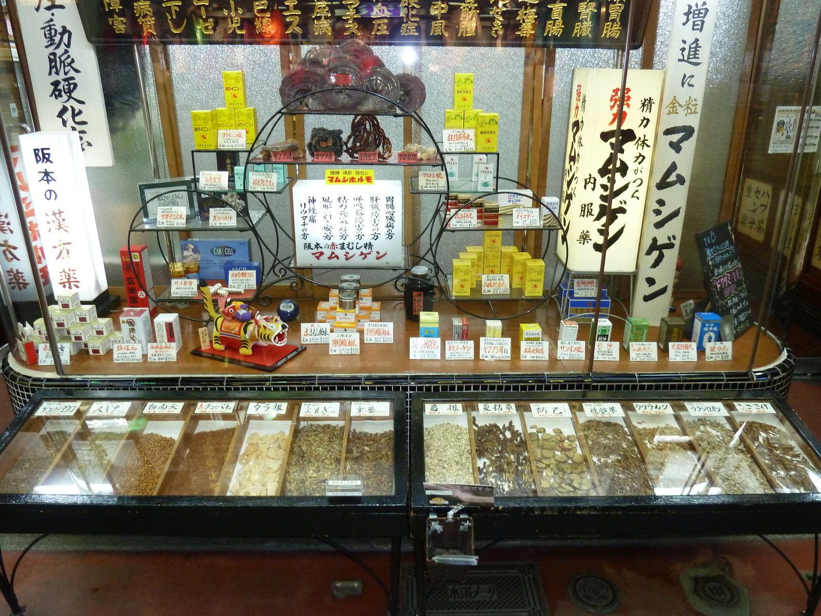 รูปถ่าย ญี่ปุ่น(Japan) เกียวโต(Kyoto) ถนนชิโจ(Shijo dori) 2010-06 78