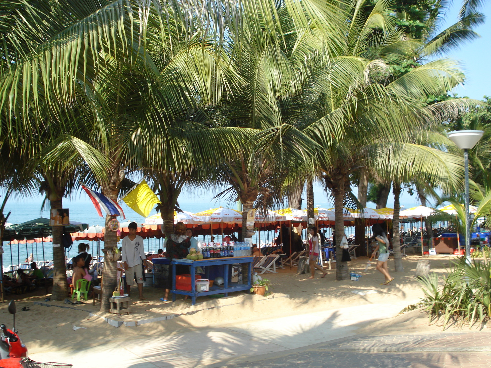 รูปถ่าย ไทย(Thailand) จอมเทียน(Jomtien) ริมทะเลจอมเทียน(Jomtien Seashore) 2008-01 56