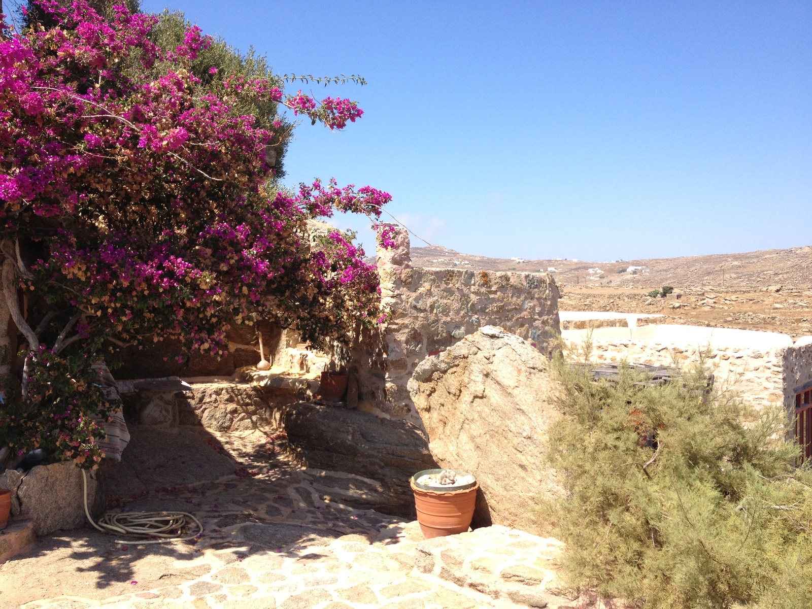 รูปถ่าย กรีก(Greece) เกาะมิโคนอส(Mykonos) 2014-07 9