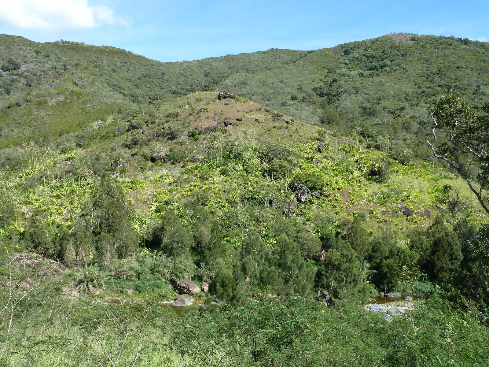 รูปถ่าย นิวแคลิโดเนีย(New Caledonia) 2010-05 15