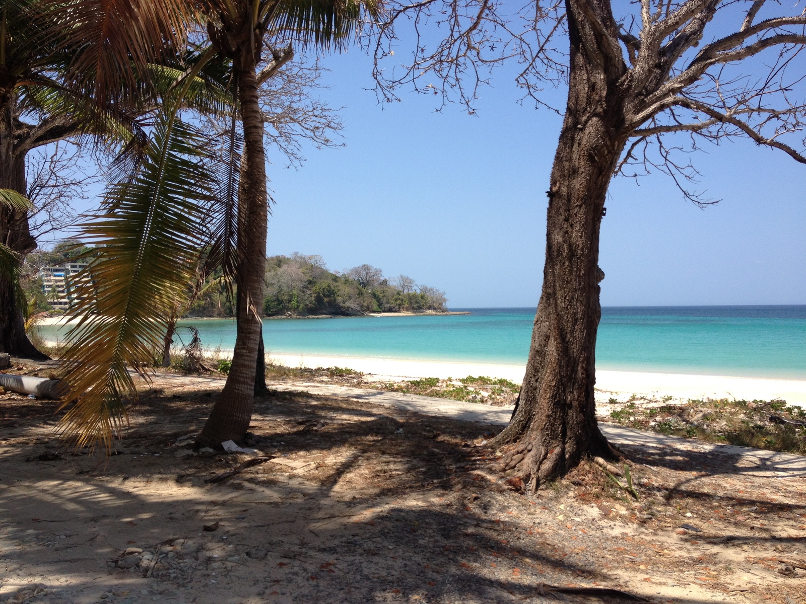 รูปถ่าย ปานามา(Panama) เกาะคอนตาโดรา(Contadora Island) 2015-03 116