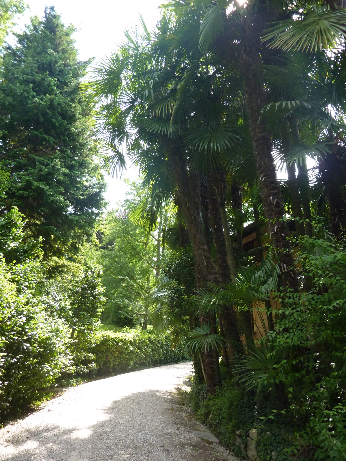 รูปถ่าย อิตาลี(Italy) วิลลาปัลลาวีชีโน(Villa Pallavicino) 2009-06 117