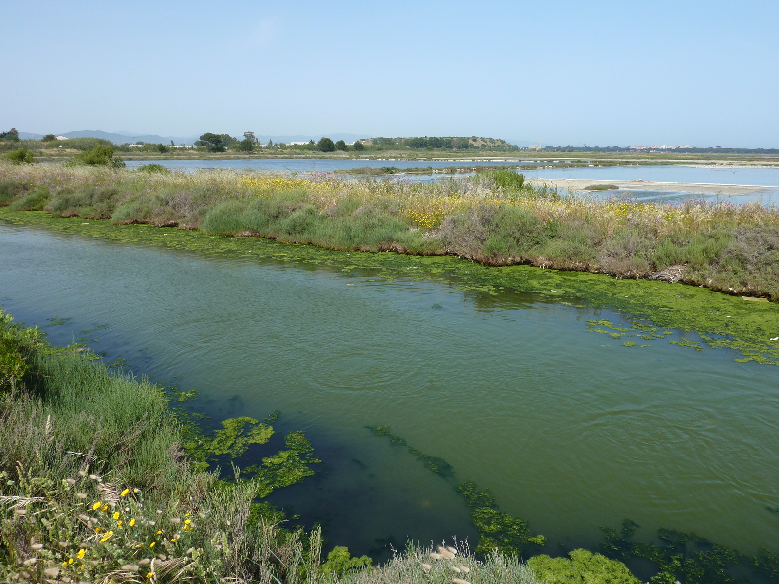รูปถ่าย ฝรั่งเศส(France) คาบสมุทรเยียง(Giens Peninsula) 2009-05 23
