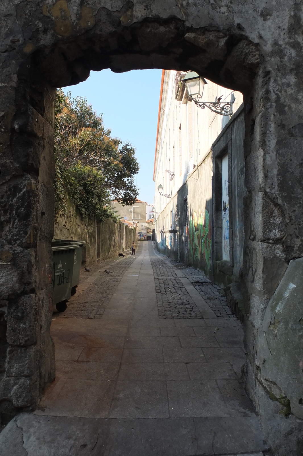 รูปถ่าย โปรตุเกส(Portugal) ปอร์โต(Porto) 2013-01 297