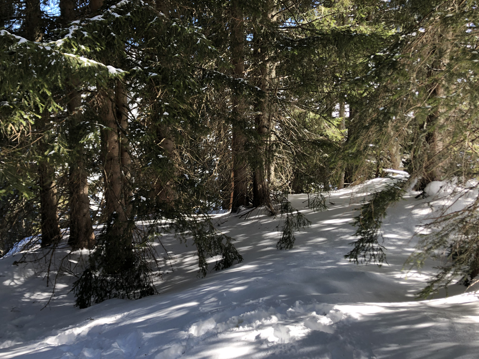 รูปถ่าย ฝรั่งเศส(France) เมแฌฟว์(Megeve) 2019-03 93