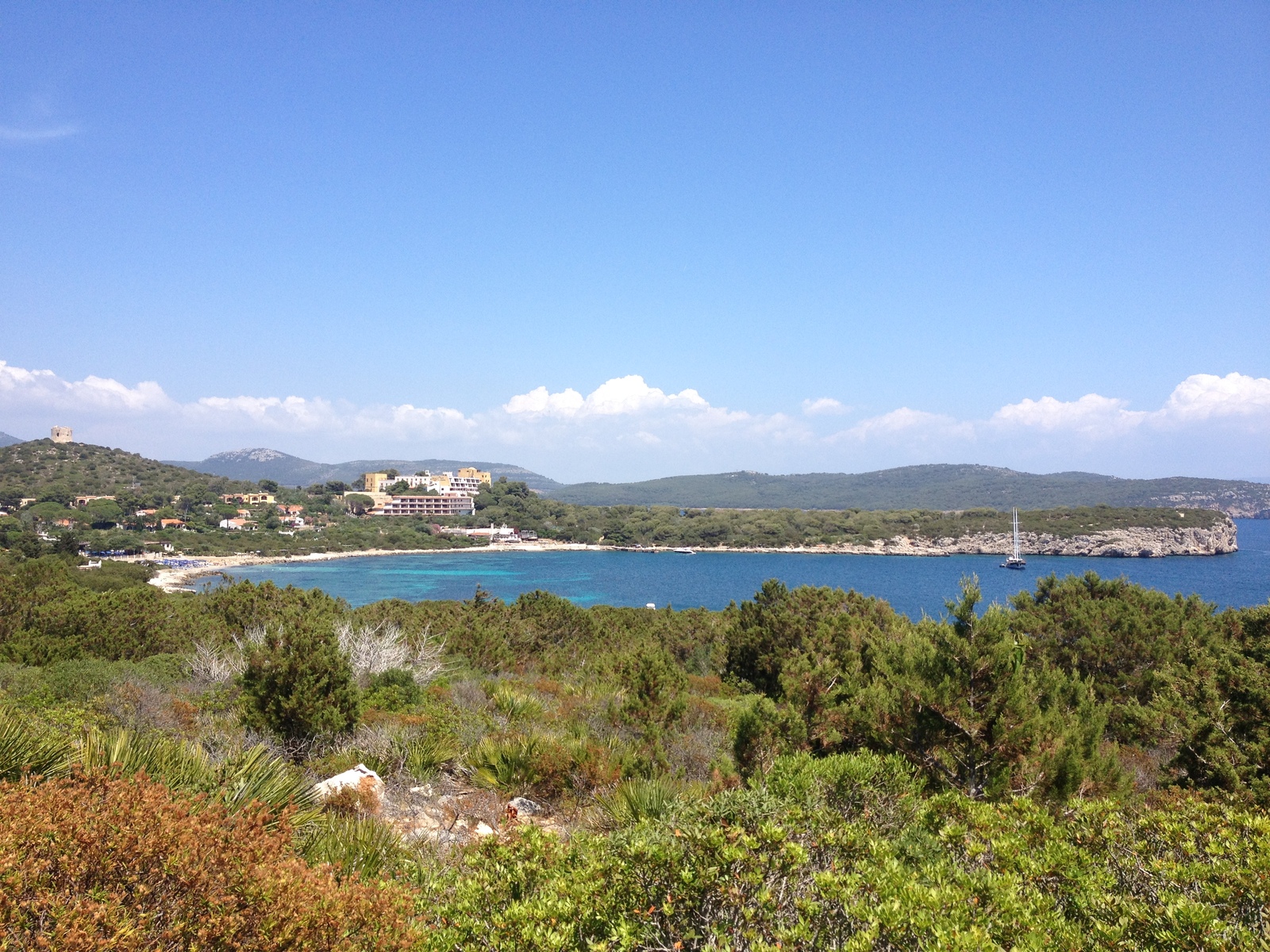 รูปถ่าย อิตาลี(Italy) ซาร์ดิเนีย(Sardinia) อุทยานธรรมชาติปอร์โตกอนเต(Porto Conte Regional Natural Park) 2015-06 16