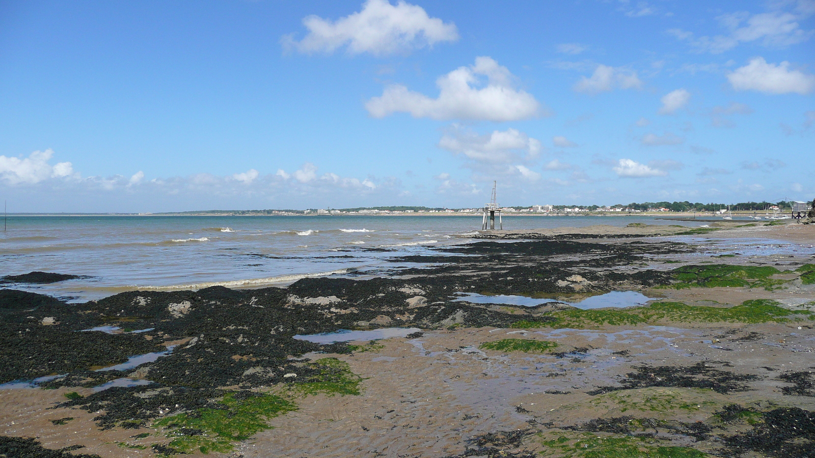 รูปถ่าย ฝรั่งเศส(France) ลาแปลน-ซูร์-แมร์(La Plaine sur mer) เลอกอร์มีเย(Le Cormier) 2007-07 6