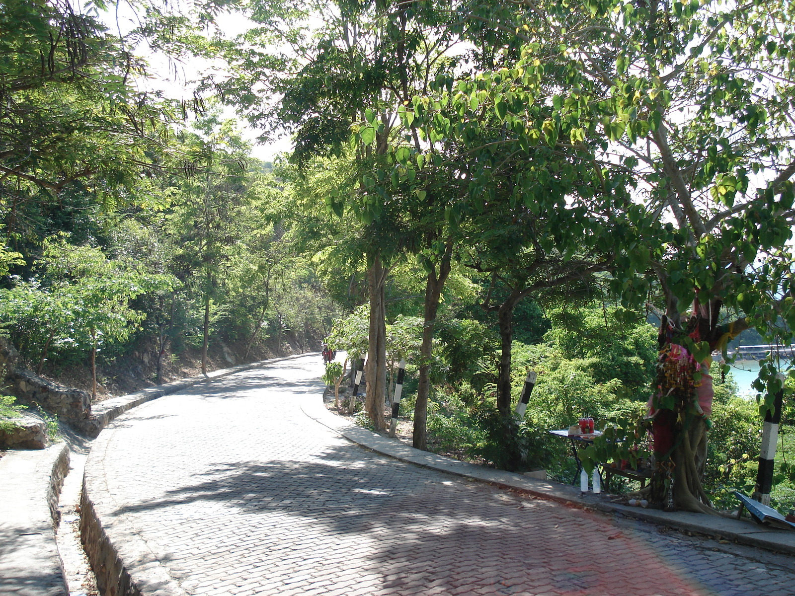 รูปถ่าย ไทย(Thailand) พัทยา(Pattaya) เกาะล้าน(Ko Larn) 2006-04 94
