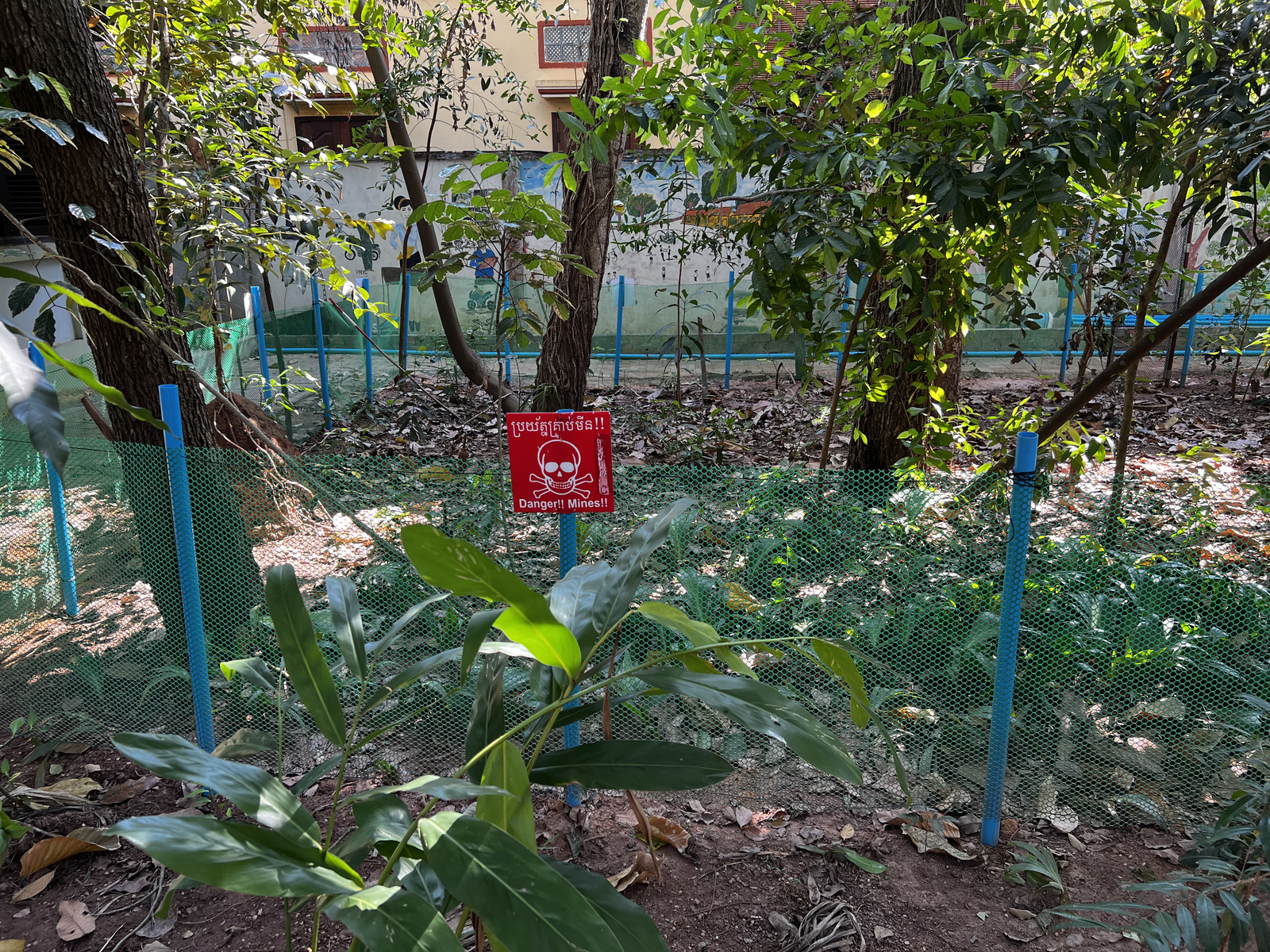 รูปถ่าย กัมพูชา(Cambodia) เสียมราฐ(Siem Reap) พิพิธภัณฑ์กับระเบิดกัมพูชา(Cambodia Landmine Museum) 2023-01 11