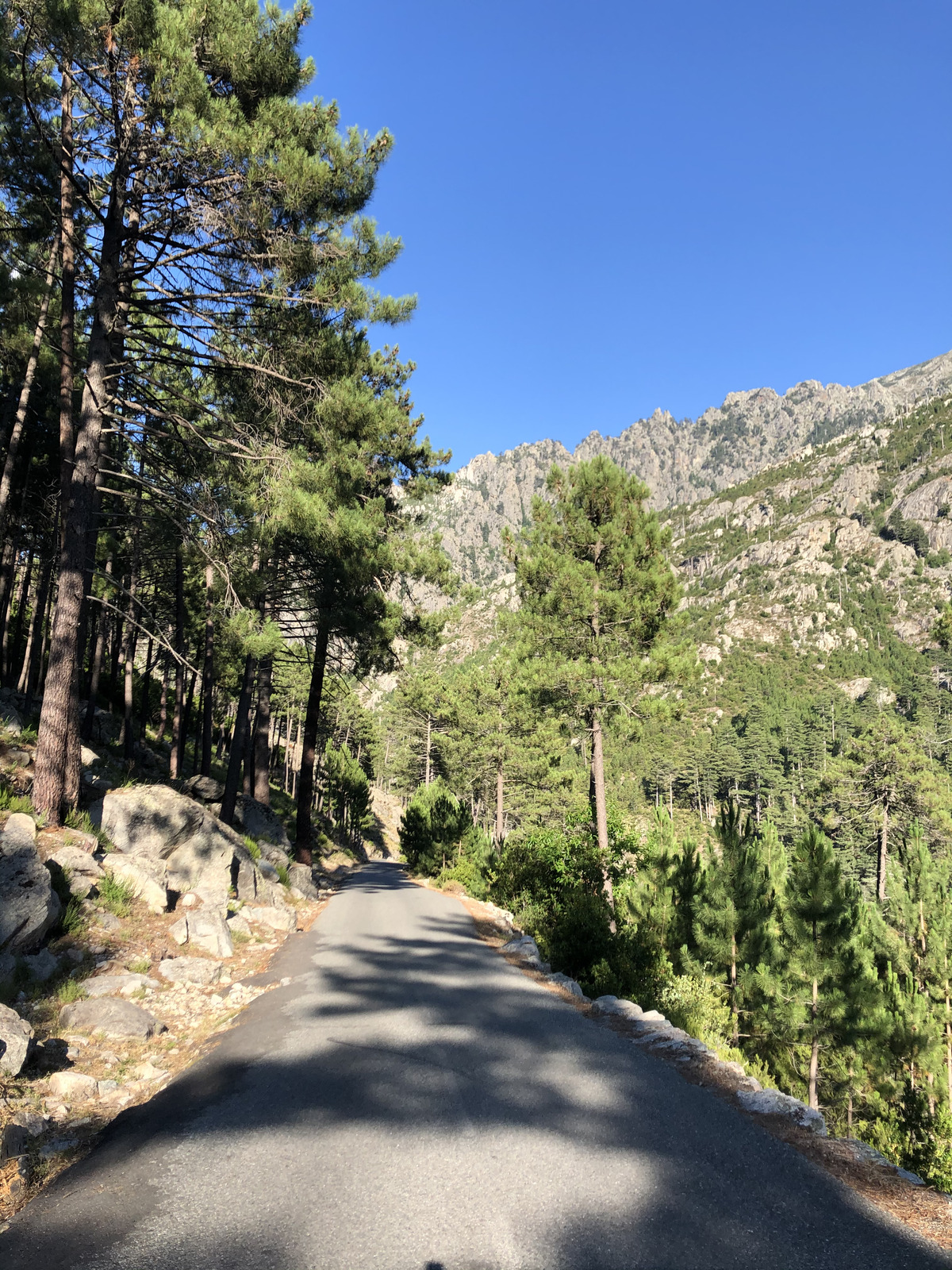 รูปถ่าย ฝรั่งเศส(France) คอร์สิคา(Corsica) หุบเขาลาเรสโตนีกา(La Restonica) 2020-07 100