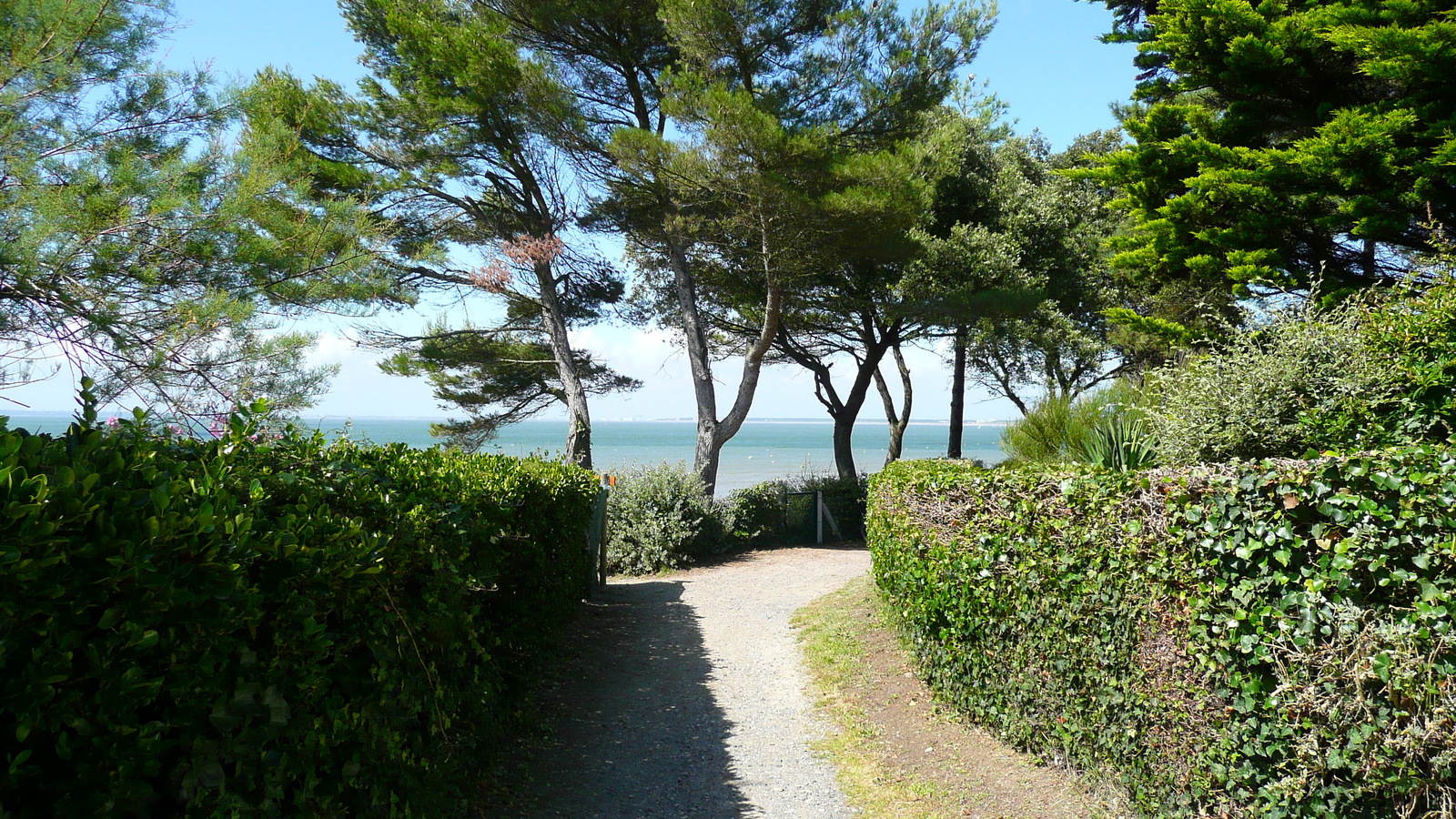 รูปถ่าย ฝรั่งเศส(France) ลาแปลน-ซูร์-แมร์(La Plaine sur mer) เลอกอร์มีเย(Le Cormier) 2007-07 18
