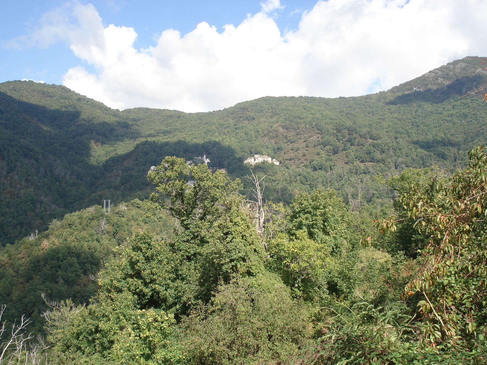 รูปถ่าย ฝรั่งเศส(France) คอร์สิคา(Corsica) วัลเล-ดาเลซานี(Valle d'alesani) 2006-09 47