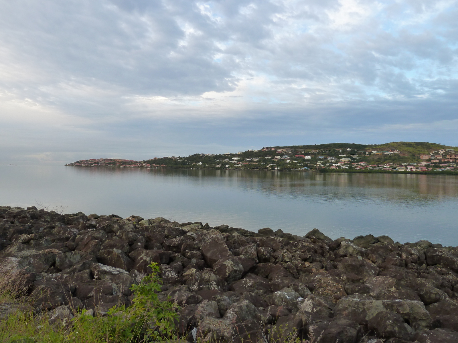 รูปถ่าย นิวแคลิโดเนีย(New Caledonia) อุทยานริเวียร์เบลอ(Parc de la Riviere Bleue) 2010-05 31