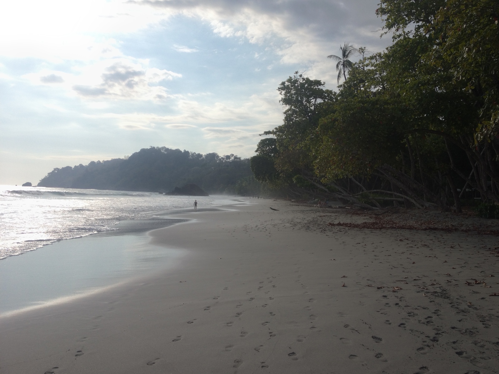 รูปถ่าย คอสตาริกา(Costa Rica) มานวยล์อันโตนีโอ(Manuel Antonio) 2015-03 87