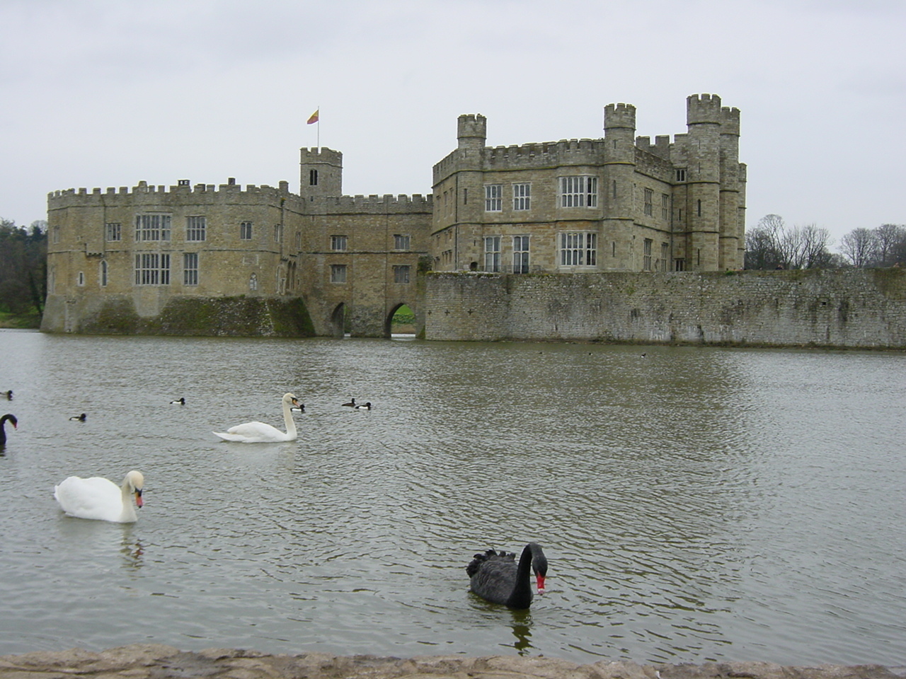 รูปถ่าย อังกฤษ(United Kingdom) ปราสาทลีดส์(Leeds castle) 2001-04 18
