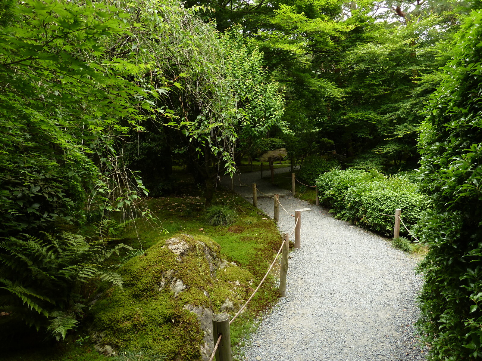 รูปถ่าย ญี่ปุ่น(Japan) เกียวโต(Kyoto) วัดเรียวอันจิ(Ryoanji Temple) 2010-06 36