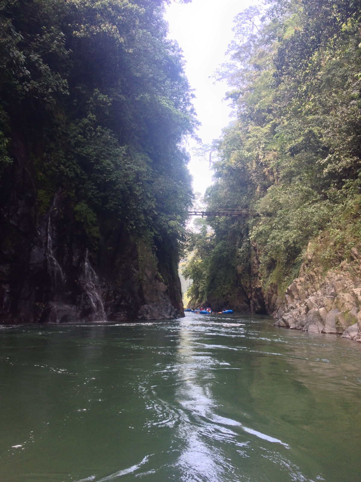 รูปถ่าย คอสตาริกา(Costa Rica) แม่น้ำปากัวเร(Pacuare River) 2015-03 155