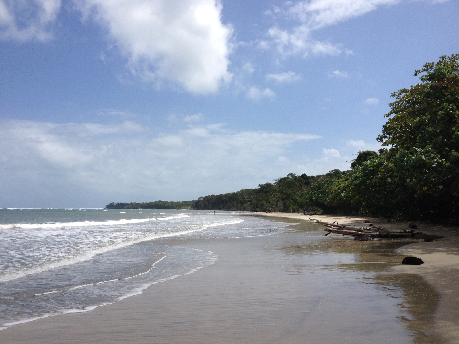 รูปถ่าย คอสตาริกา(Costa Rica) กาอุยตา(Cahuita) 2015-03 210
