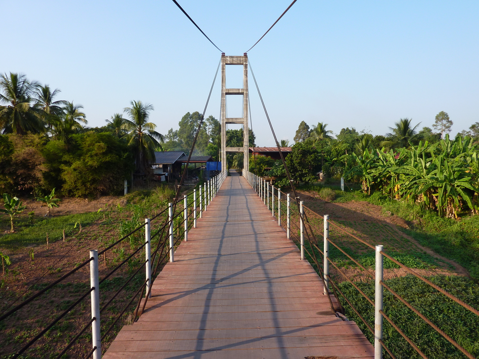 รูปถ่าย ไทย(Thailand) พิษณุโลก(Phitsanulok) จอมทอง(Chom Thong) 2009-12 50