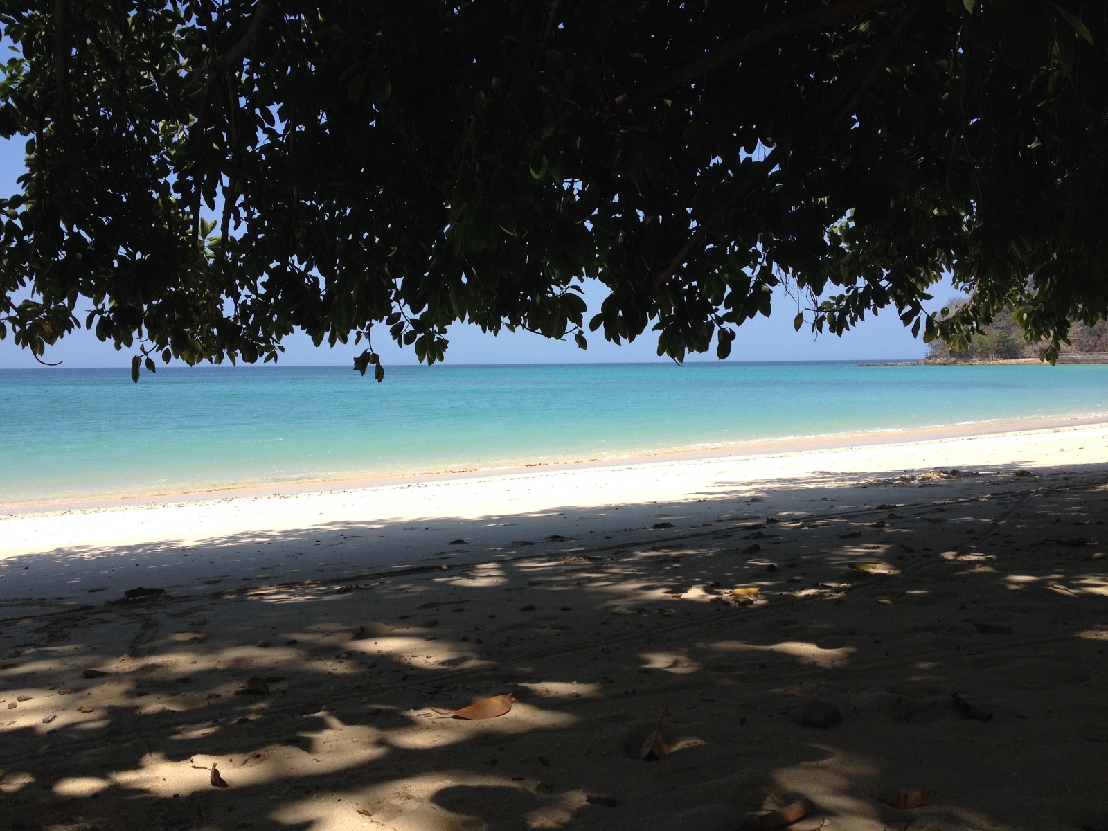 รูปถ่าย ปานามา(Panama) เกาะคอนตาโดรา(Contadora Island) 2015-03 31