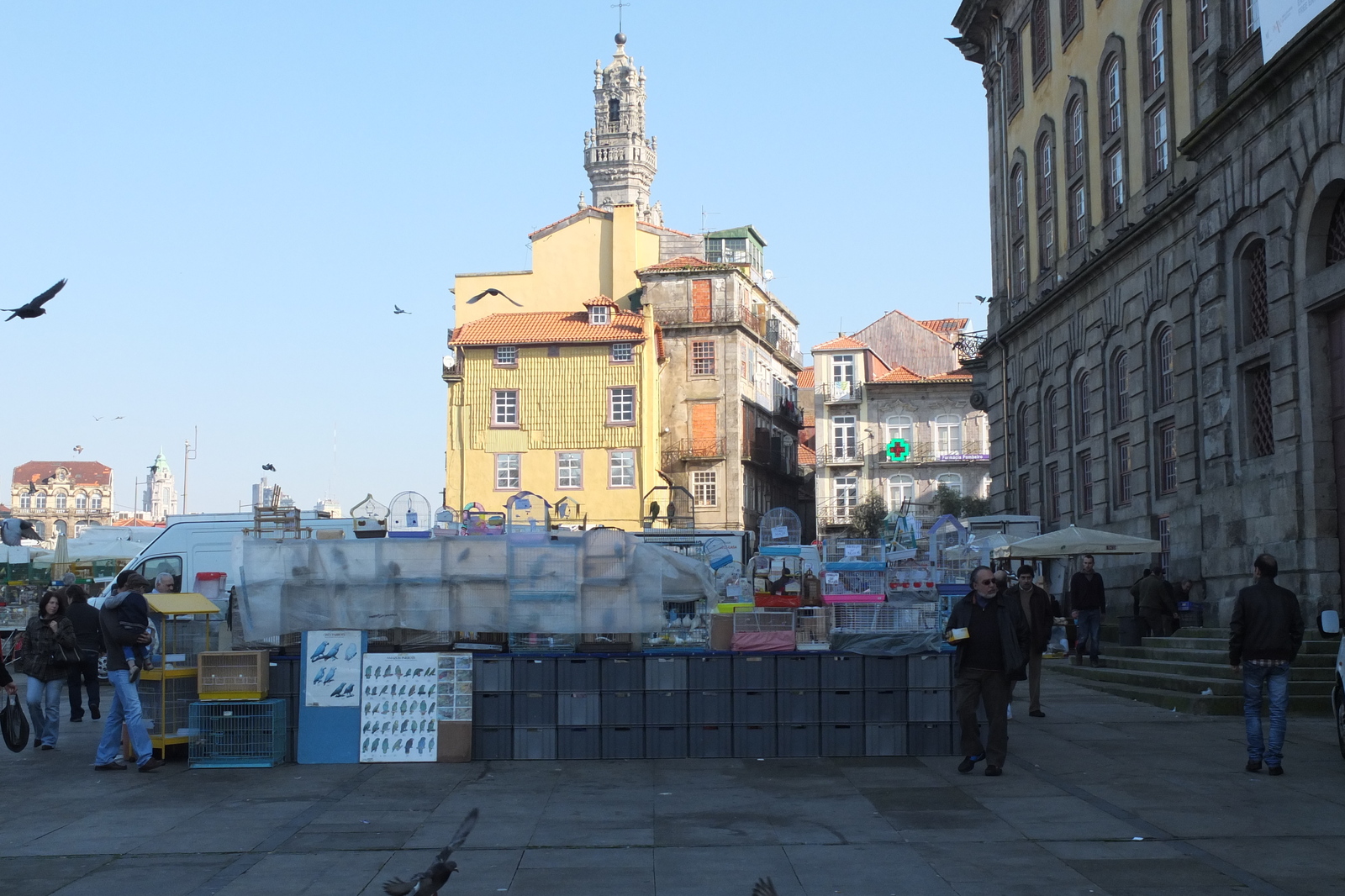 รูปถ่าย โปรตุเกส(Portugal) ปอร์โต(Porto) 2013-01 281