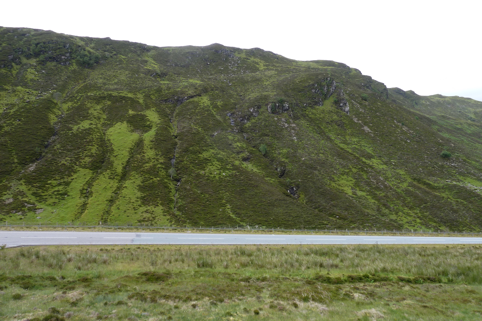รูปถ่าย อังกฤษ(United Kingdom) สกอตแลนด์(Scotland) ทะเลสาบลอคมารี(Loch Maree) 2011-07 22