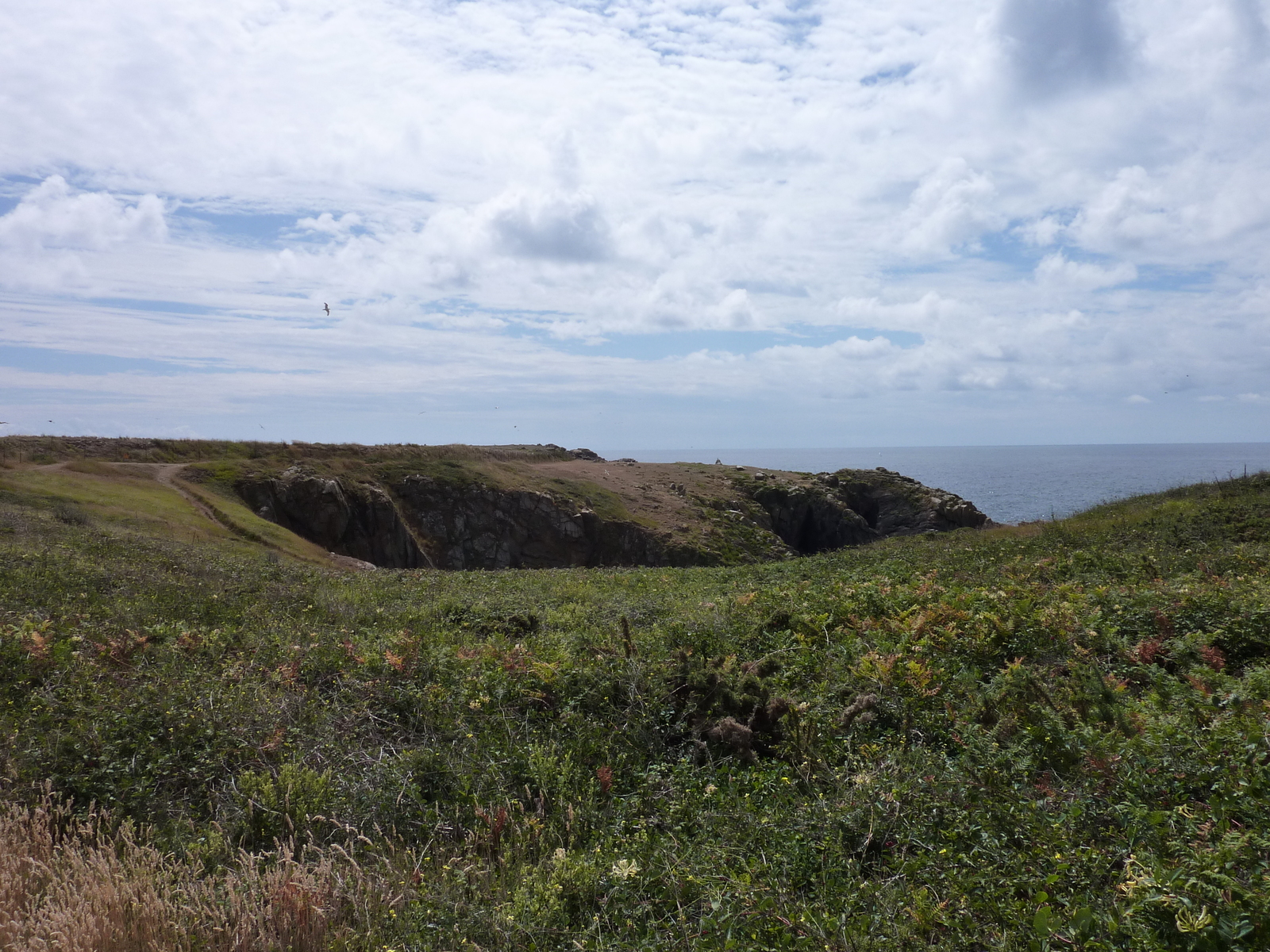 รูปถ่าย ฝรั่งเศส(France) เกาะดีเยอ(Ile d'yeu) 2009-07 53