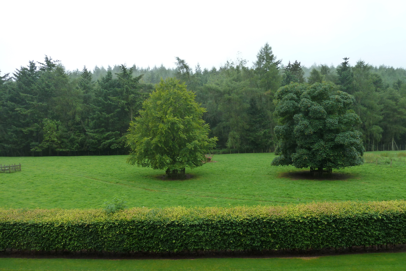 รูปถ่าย อังกฤษ(United Kingdom) สกอตแลนด์(Scotland) ปราสาทเอดเซล(Edzell Castle) 2011-07 32