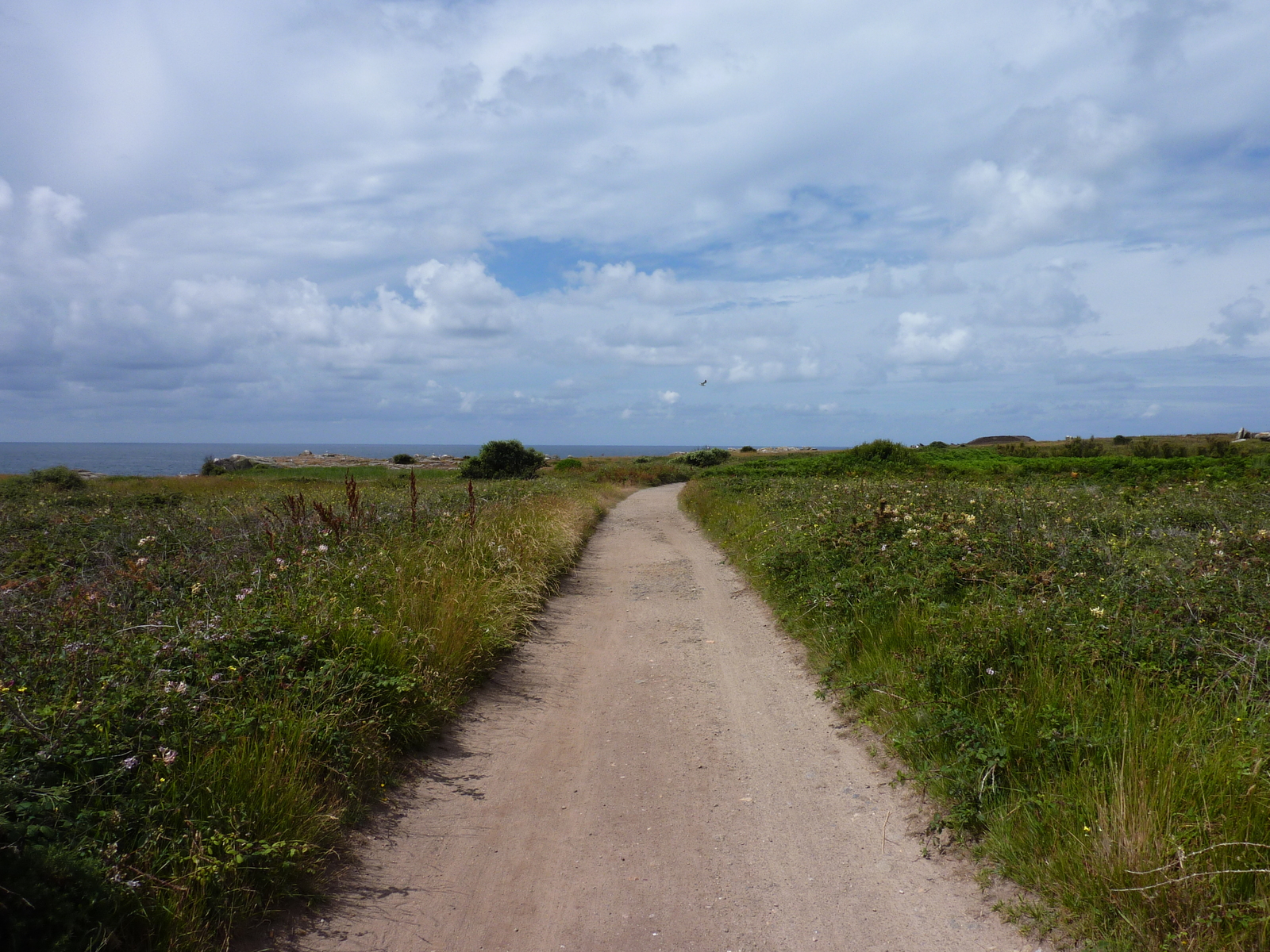 รูปถ่าย ฝรั่งเศส(France) เกาะดีเยอ(Ile d'yeu) 2009-07 52
