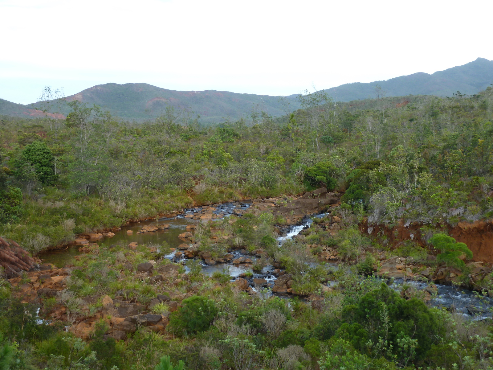 รูปถ่าย นิวแคลิโดเนีย(New Caledonia) อุทยานริเวียร์เบลอ(Parc de la Riviere Bleue) 2010-05 88