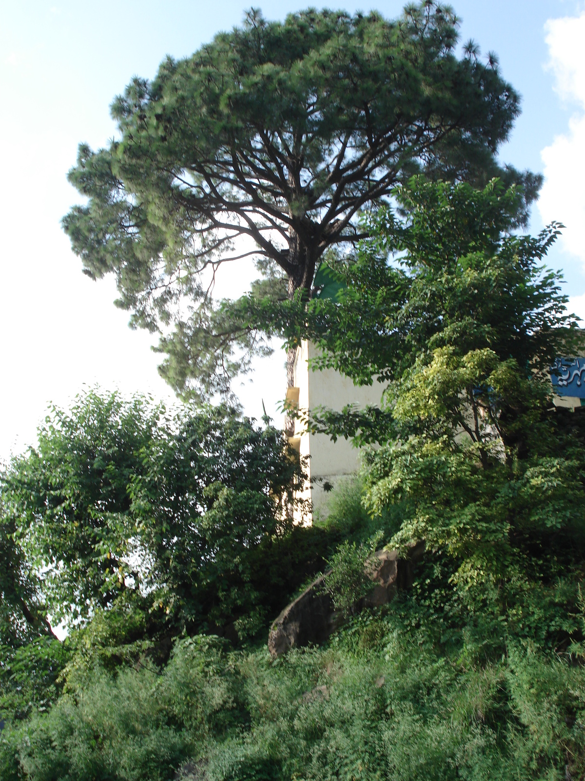 รูปถ่าย ปากีสถาน(Pakistan) ถนนจากอิสลามาบัดไปมัรรี(Islamabad to Murree road) 2006-08 22
