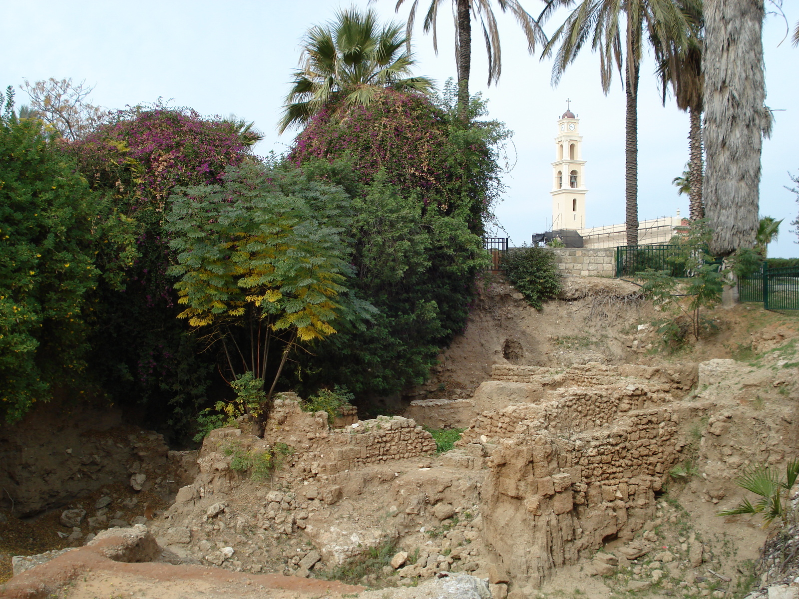 รูปถ่าย อิสราเอล(Israel) จาฟา(Jaffa) 2006-12 105