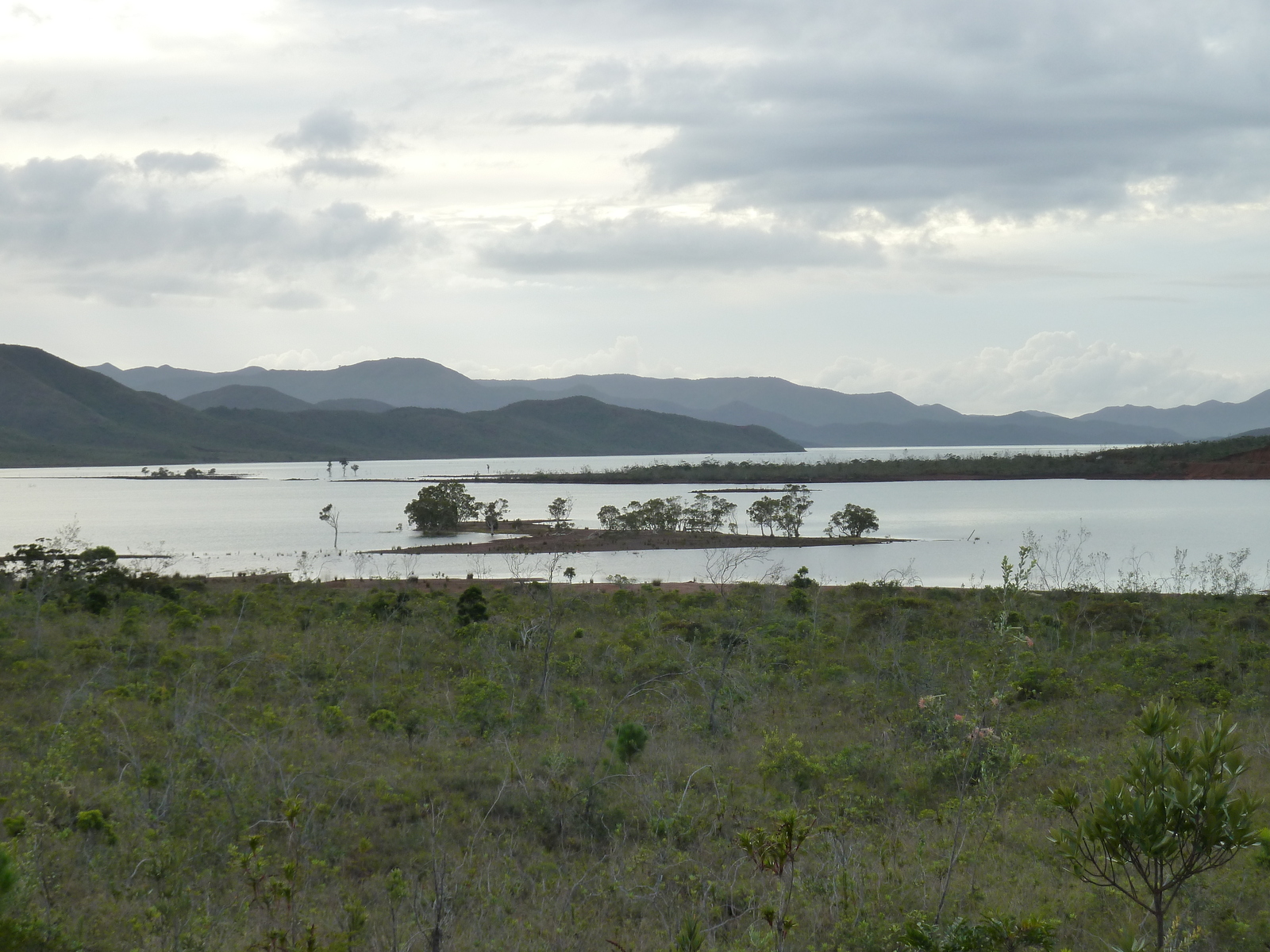 รูปถ่าย นิวแคลิโดเนีย(New Caledonia) อุทยานริเวียร์เบลอ(Parc de la Riviere Bleue) 2010-05 107