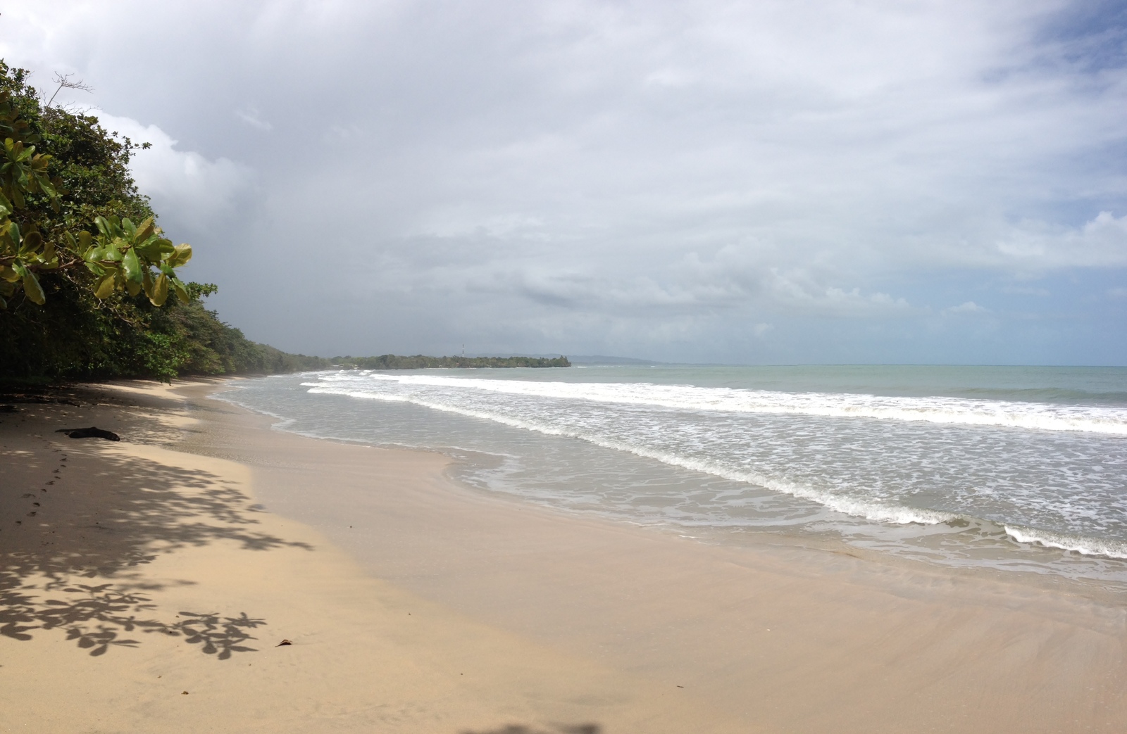 รูปถ่าย คอสตาริกา(Costa Rica) กาอุยตา(Cahuita) 2015-03 167